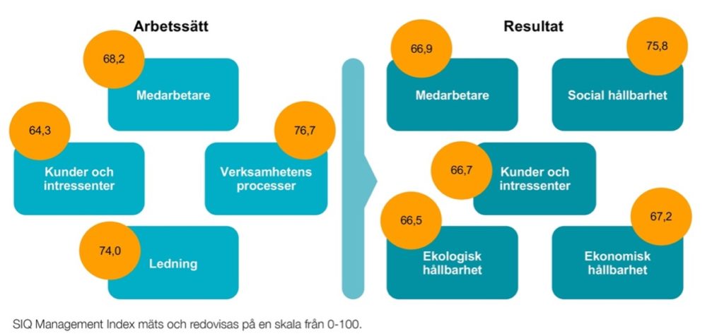 SIQ Management Index result